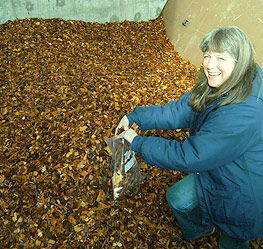 Woman standing in bin of wood chips and holding a handful.